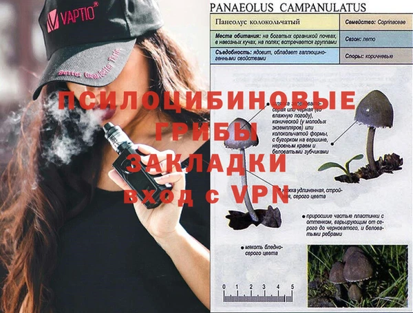 прущая мука Армянск