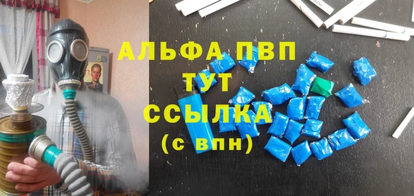 сатива Аркадак