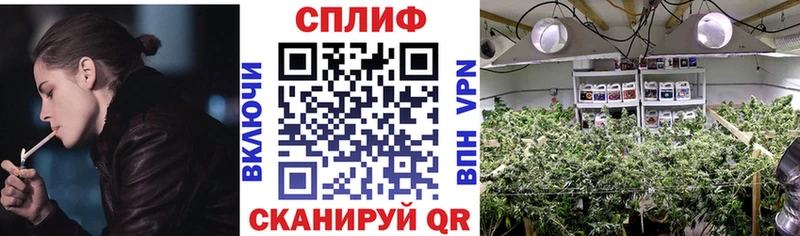 Шишки марихуана Ganja  Суджа 